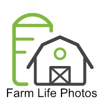 Farm Graphic 1